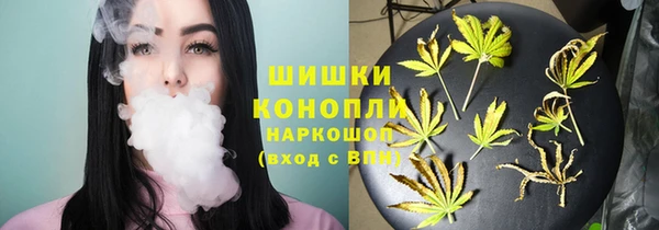 молекула духа Новокубанск