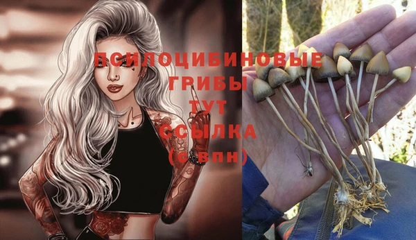 амфетамин Новозыбков