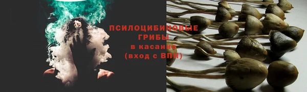 амфетамин Новозыбков