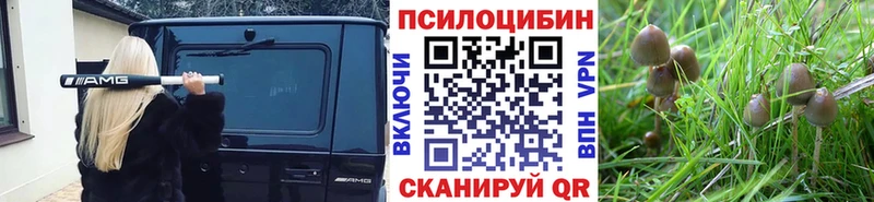 MEGA вход  Бабаево  Галлюциногенные грибы мухоморы 