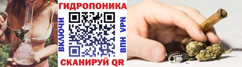 закладка  Бабаево  Марихуана конопля 